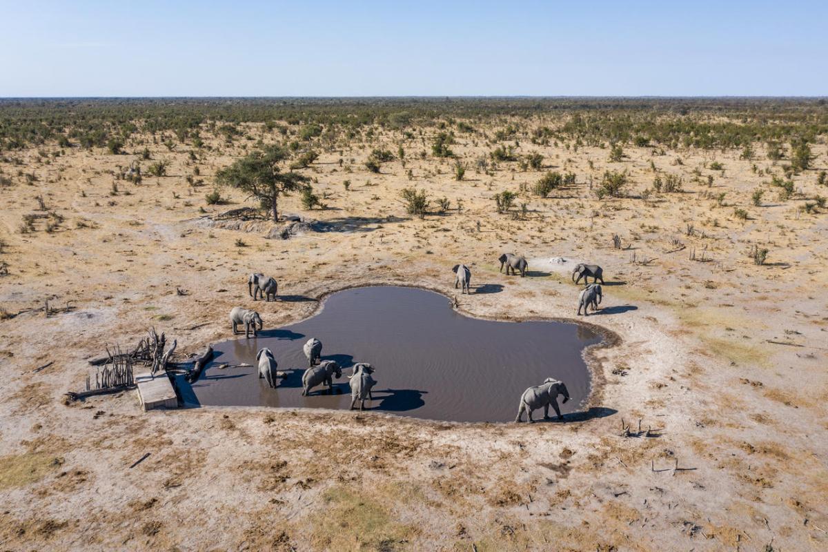 Cedarberg Travel | Elephant Pan Camp