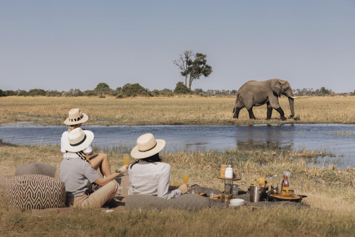 Cedarberg Travel | Mombo Camp