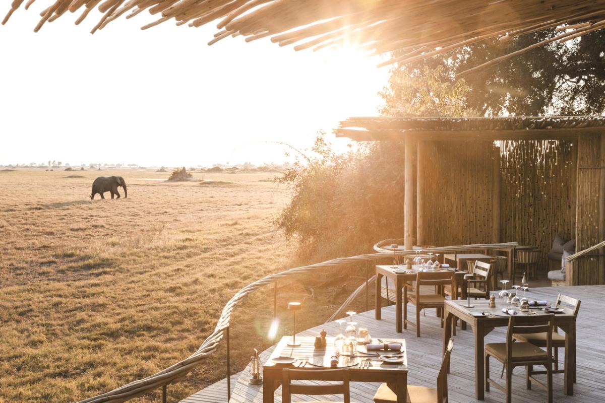 Cedarberg Travel | Mombo Camp