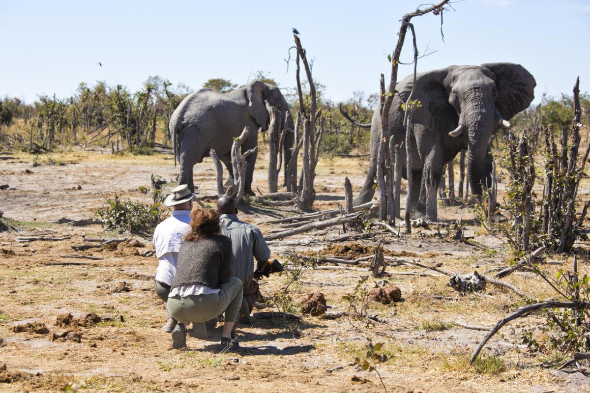 Cedarberg Travel | Elephant Pan Camp