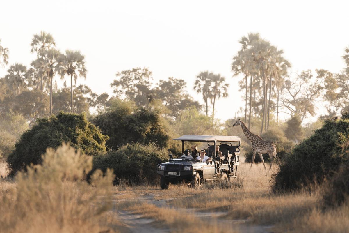 Cedarberg Travel | Mombo Camp