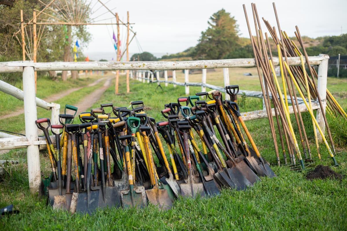 Greenpop tree planting - spades