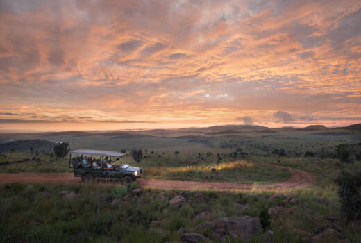 The Best Graduation Gift? A Passport to Africa’s Wild Side