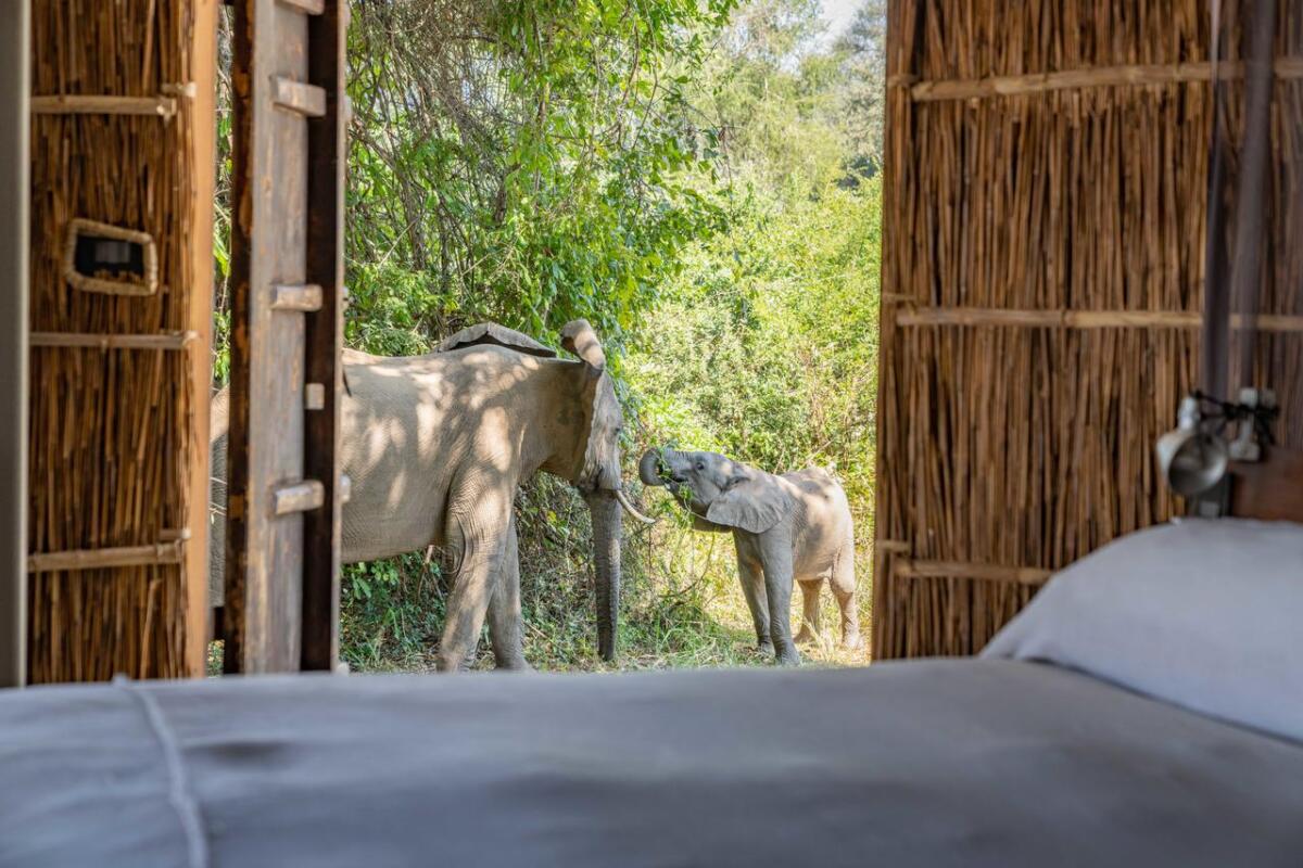 Cedarberg Travel | Chinzombo Camp