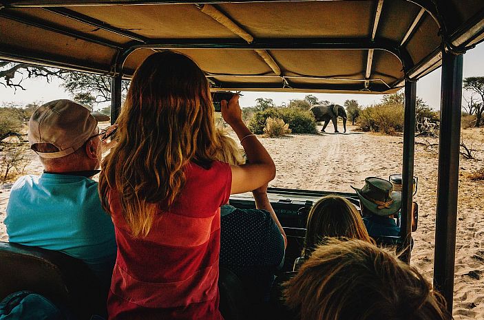 Easter family safaris -