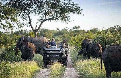 Best Game Reserves of South Africa