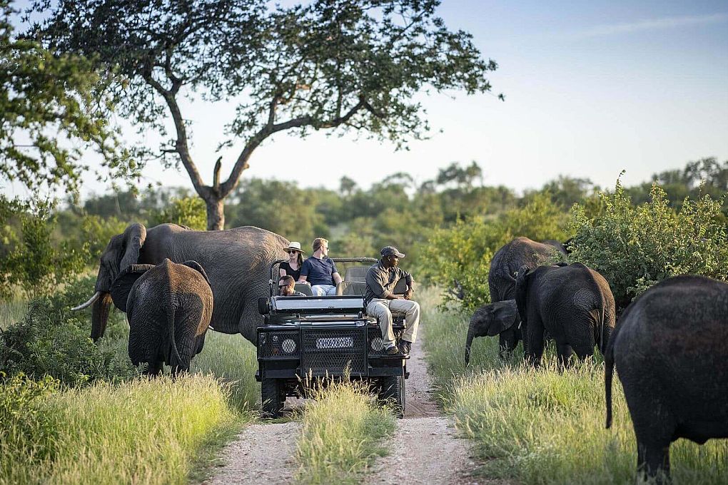 Best Game Reserves of South Africa