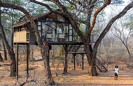 Tum Tum Treehouse Lodge