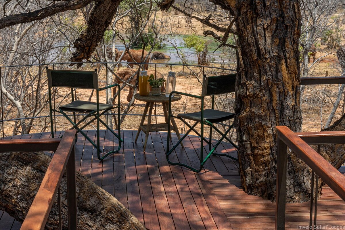 Cedarberg Travel | Tum Tum Treehouse Lodge