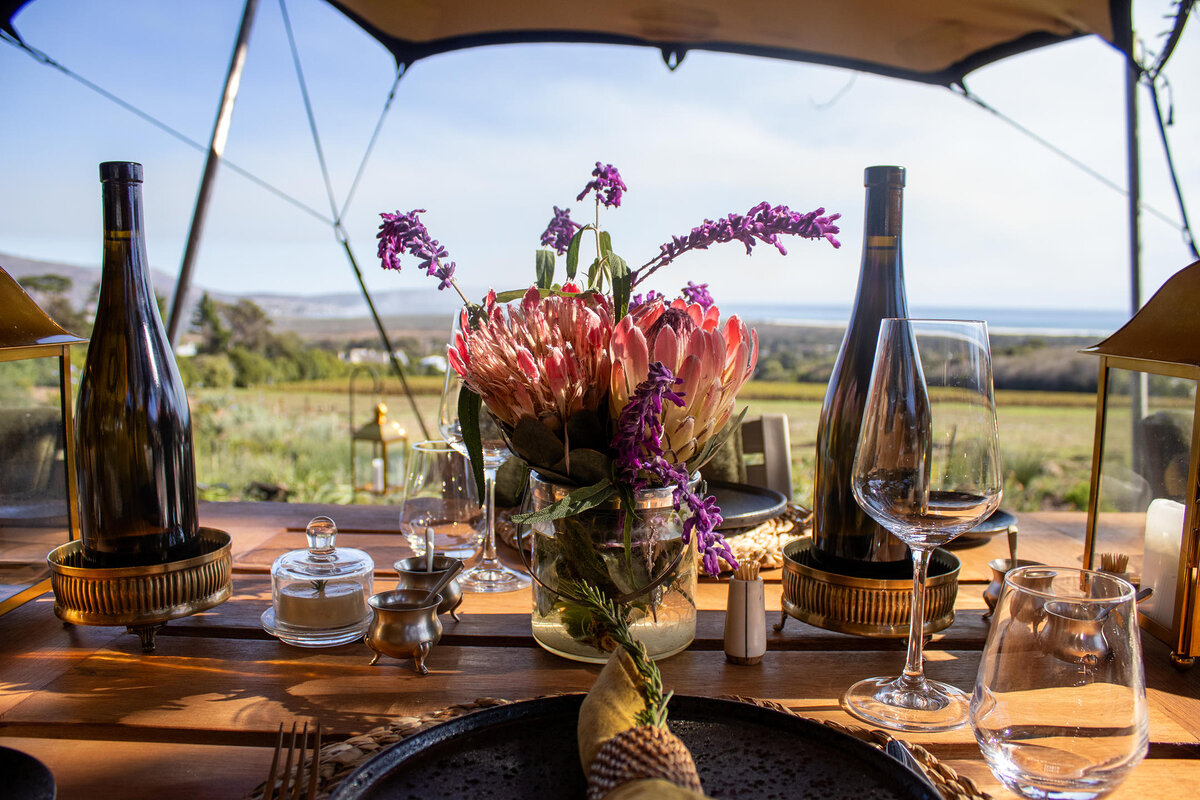 Cedarberg Travel | The Alexander Estate